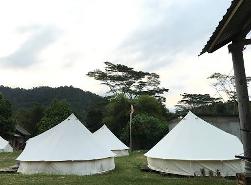 Canopy Tribe
