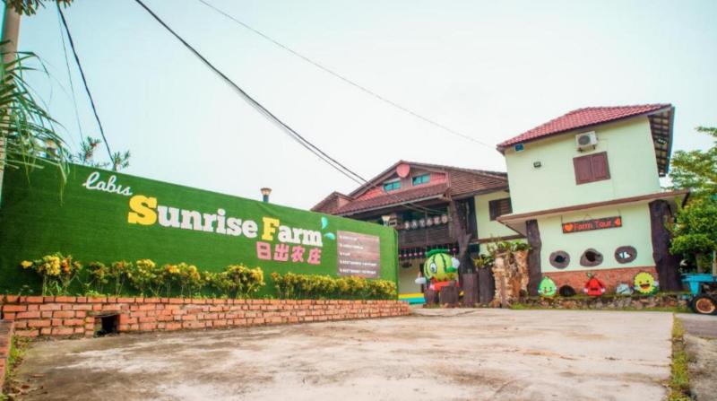 Pagi Cerah di Ladang Sunrise Labis